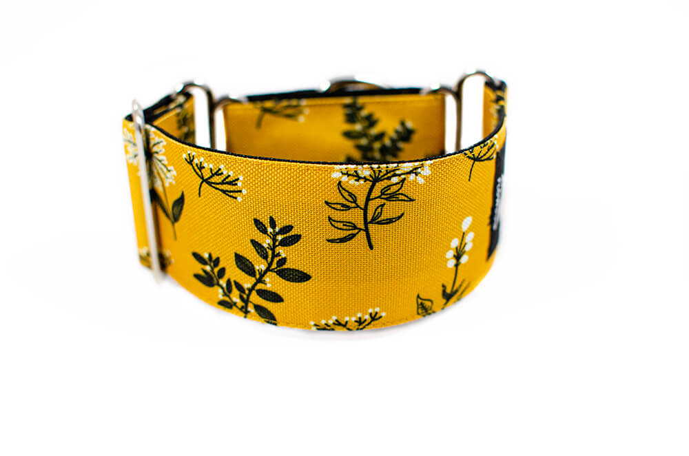 Yellow Yarrow - Plus Martingale Collar for Whippets and Greyhounds