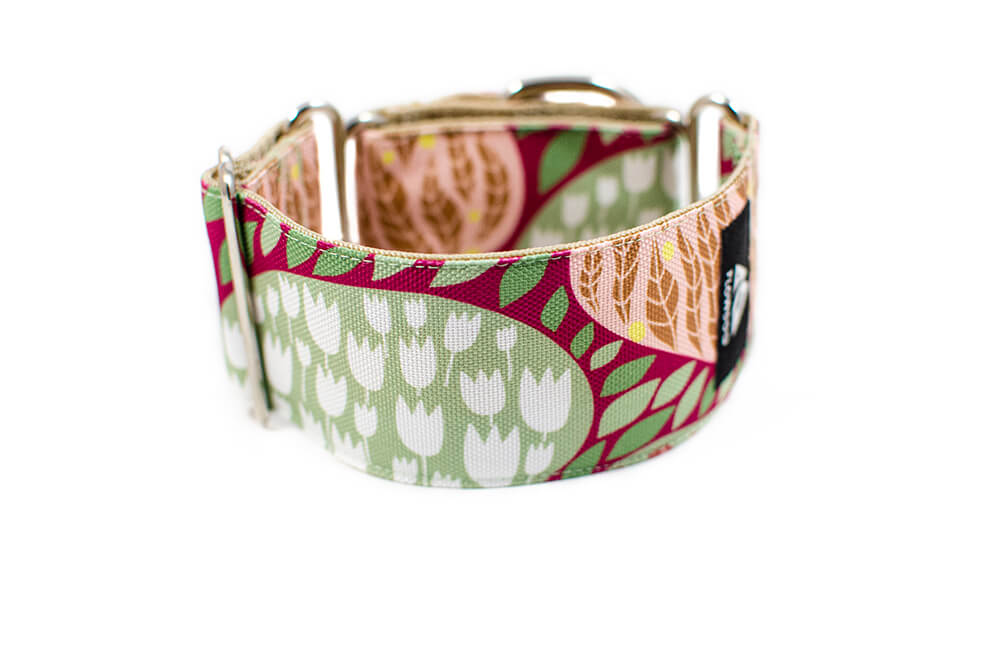 Fiore - Plus Martingale Collar for Whippets and Greyhounds