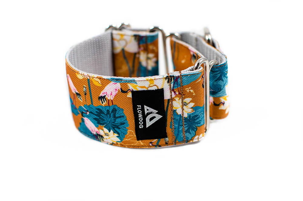 Japanese Garden - Plus Martingale Collar for Whippets and Greyhounds