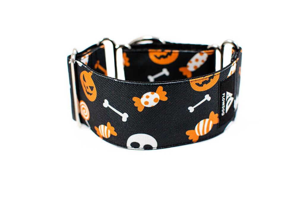 Halloween - Plus Martingale Collar for Whippets and Greyhounds