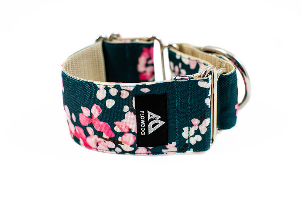 Cherry Blossom - Plus Martingale Collar for Whippets and Greyhounds