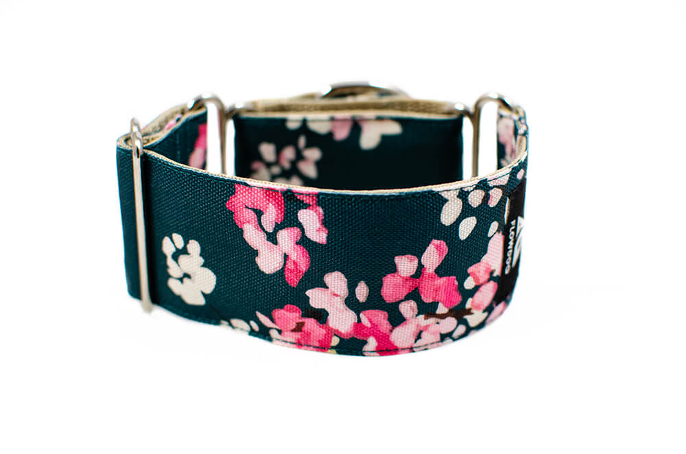 Cherry Blossom - Plus Martingale Collar for Whippets and Greyhounds