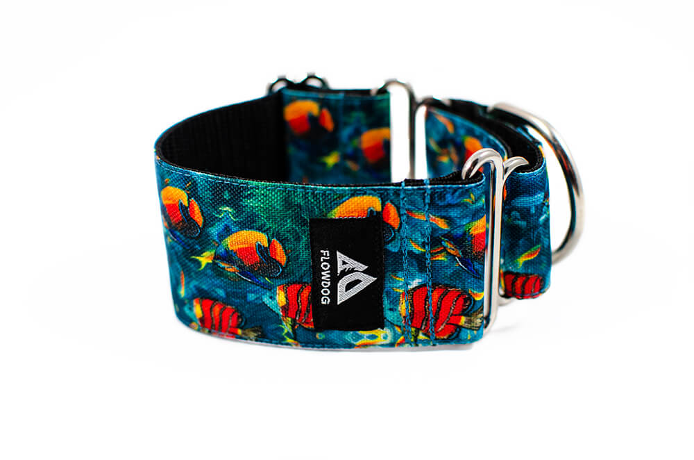 Coral reef - Plus Martingale Collar for Whippets and Greyhounds