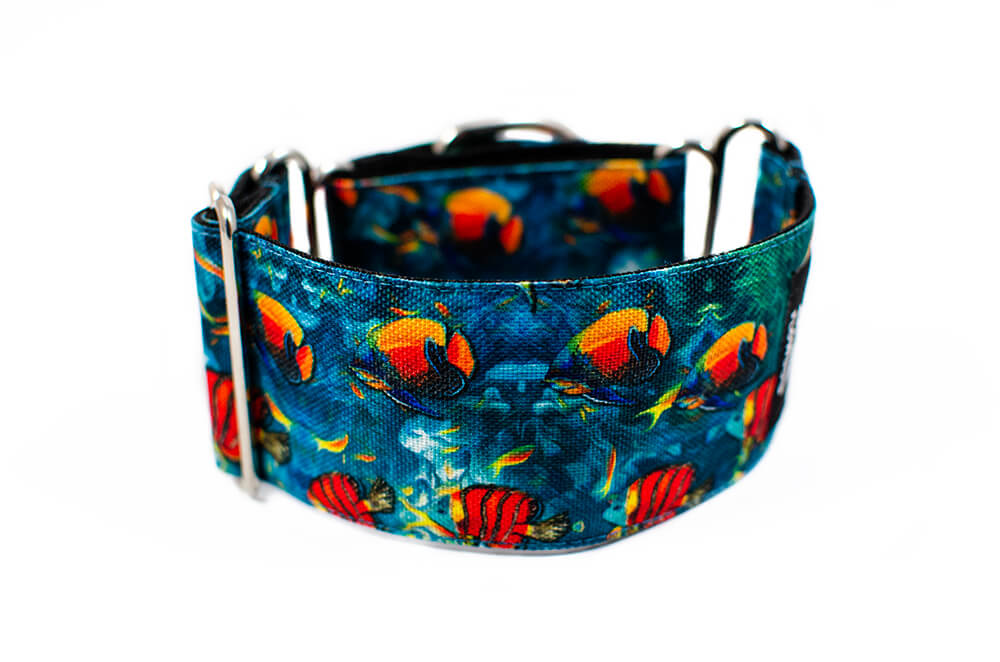 Coral reef - Plus Martingale Collar for Whippets and Greyhounds