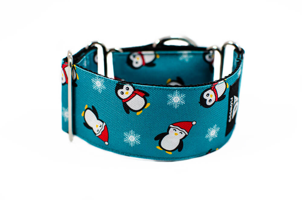 Penguin - Plus Martingale Collar for Whippets and Greyhounds