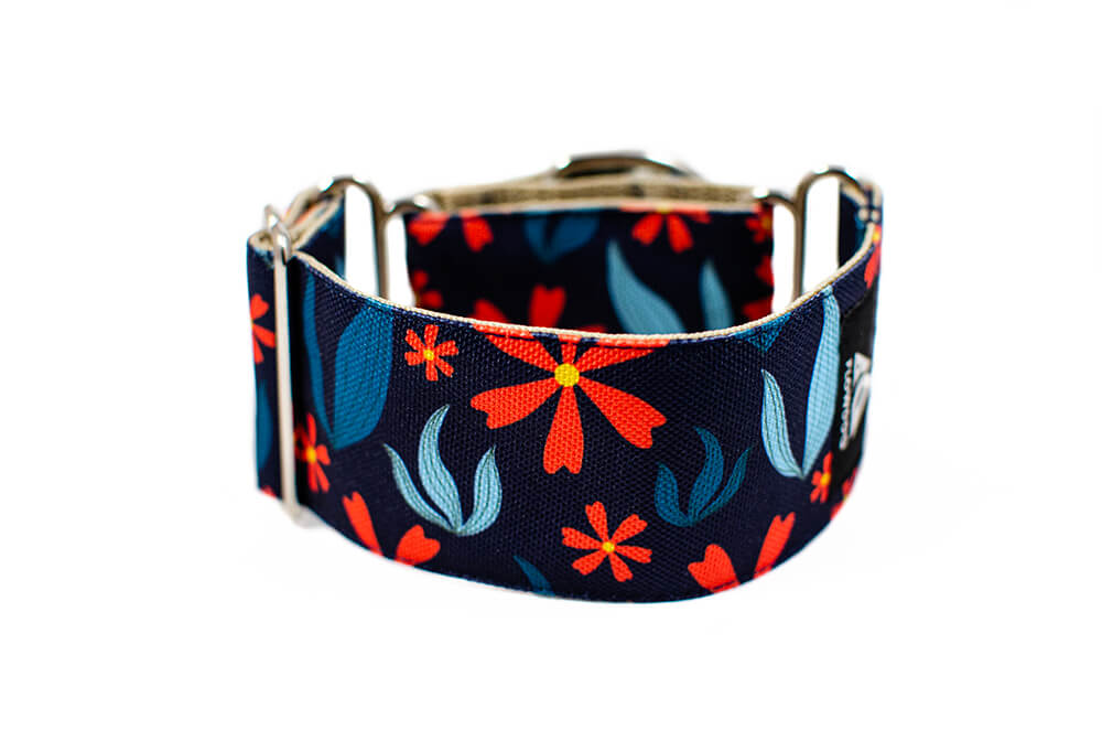 Gerbera - Plus Martingale Collar for Whippets and Greyhounds