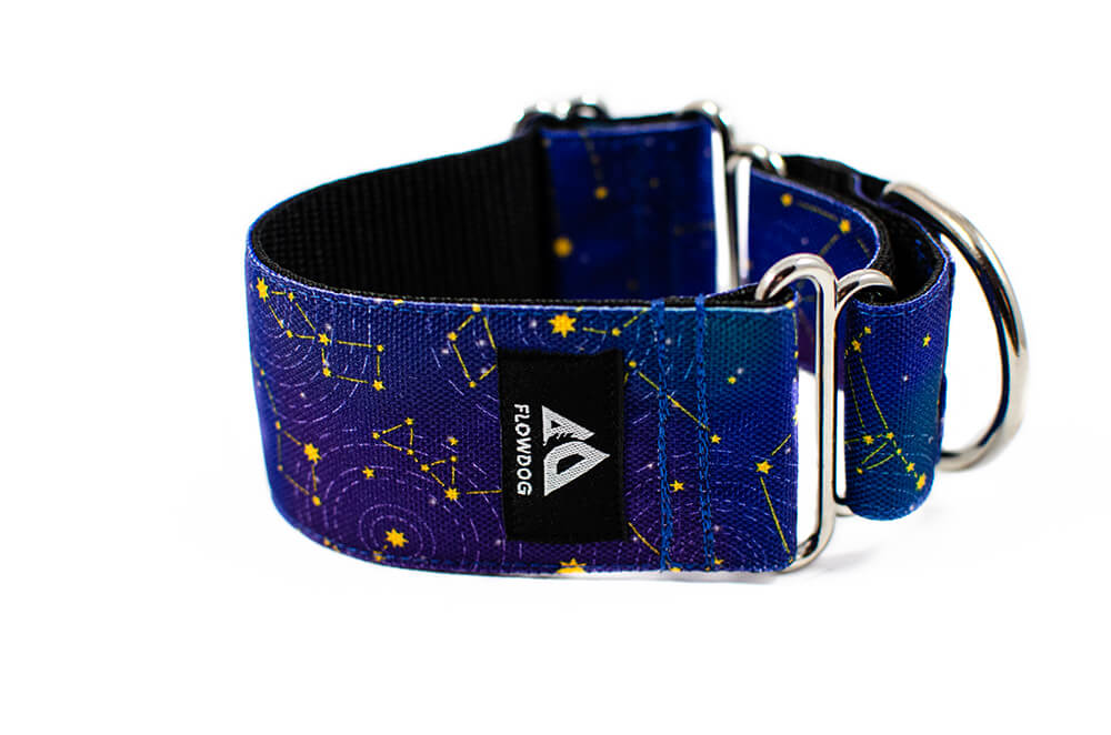 Stardust - Plus Martingale Collar for Whippets and Greyhounds