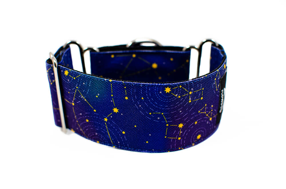 Stardust - Plus Martingale Collar for Whippets and Greyhounds