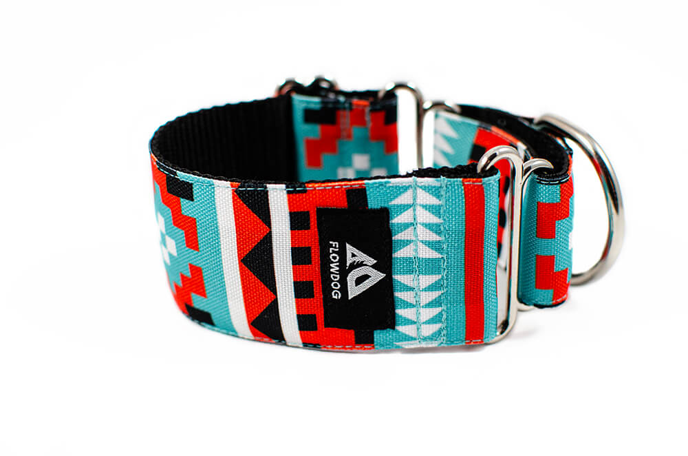 Salvador - Plus Martingale Collar for Whippets and Greyhounds