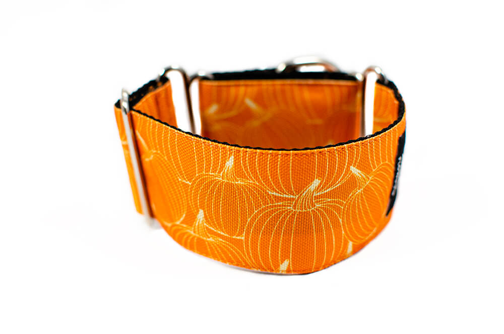 Pumpkin - Plus Martingale Collar for Whippets and Greyhounds