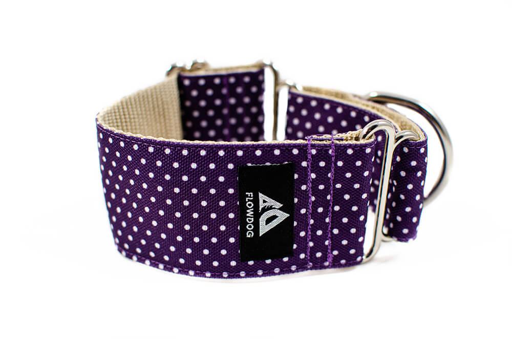 Purple Dottie - Plus Martingale Collar for Whippets and Greyhounds