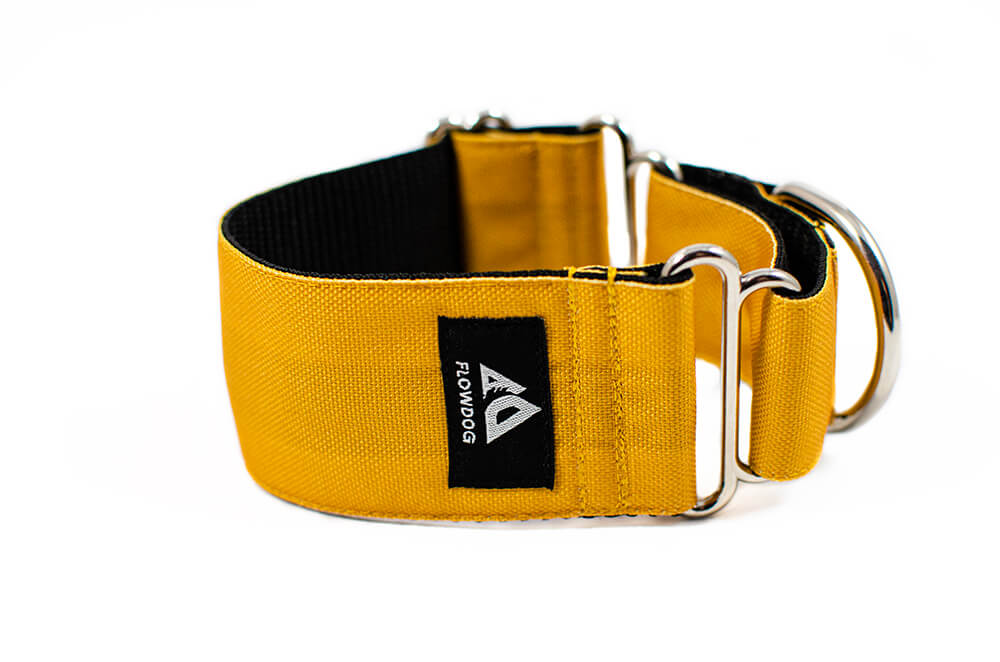 Mustard Yellow - Plus Martingale Collar for Whippets and Greyhounds