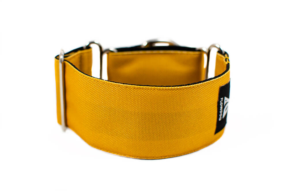 Mustard Yellow - Plus Martingale Collar for Whippets and Greyhounds