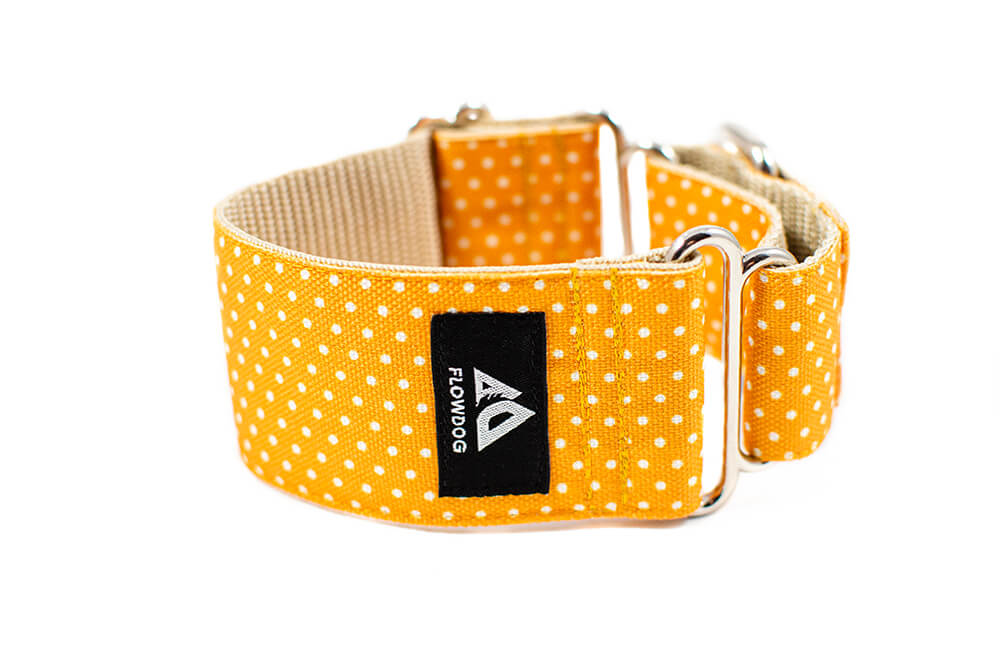 Yellow Dottie - Plus Martingale Collar for Whippets and Greyhounds