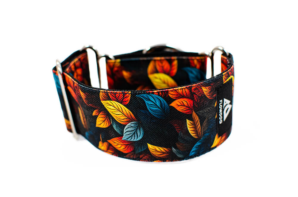 Leaves - Plus Martingale Collar for Whippets and Greyhounds