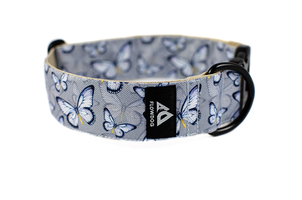 Butterfly - Plus Buckle Collar