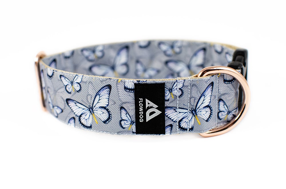 Butterfly - Plus Buckle Collar