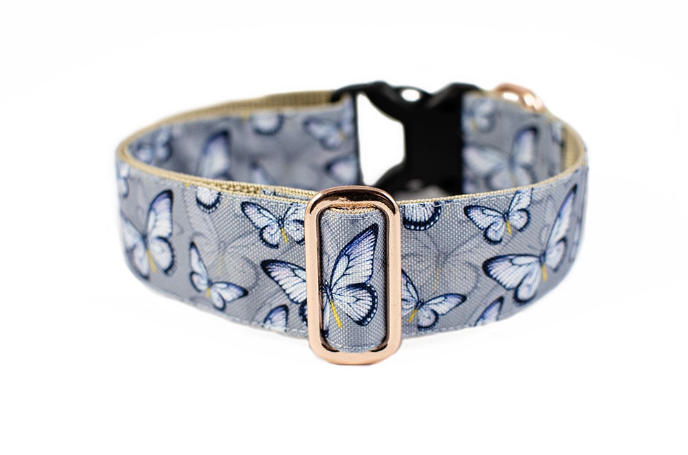 Butterfly - Plus Buckle Collar