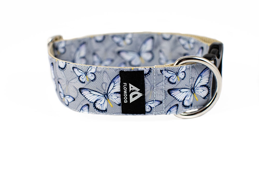 Butterfly - Plus Buckle Collar