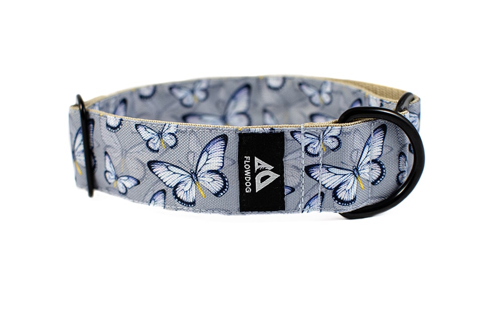 Butterfly - Plus Slip-on Collar