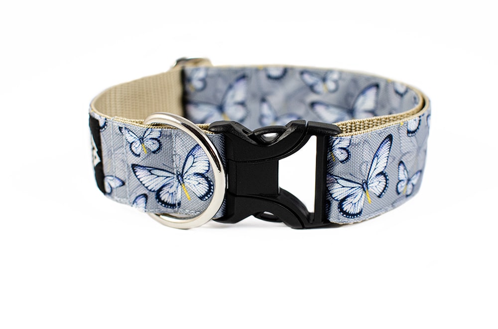 Butterfly - Plus Buckle Collar