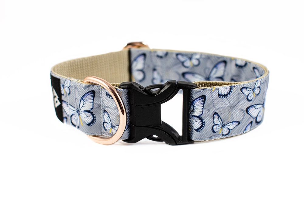 Butterfly - Plus Buckle Collar