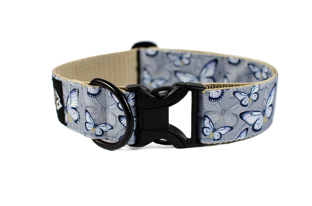 Butterfly - Plus Buckle Collar