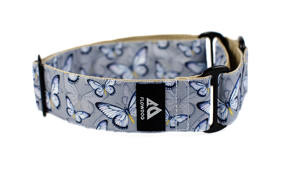 Butterfly - Plus Martingale Collar