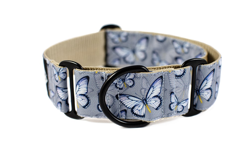 Butterfly - Plus Martingale Collar