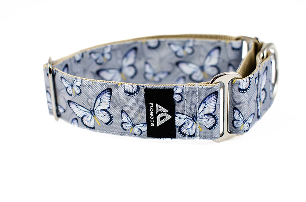 Butterfly - Plus Martingale Collar