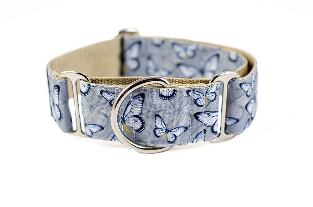 Butterfly - Plus Martingale Collar