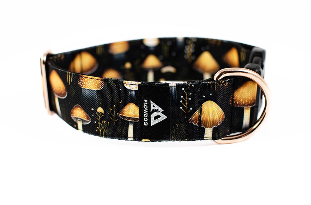 Mushroom - Plus Buckle Collar