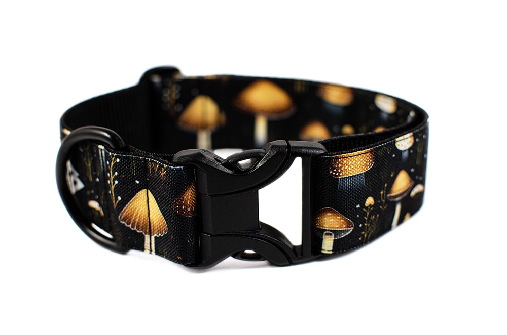 Mushroom - Plus Buckle Collar