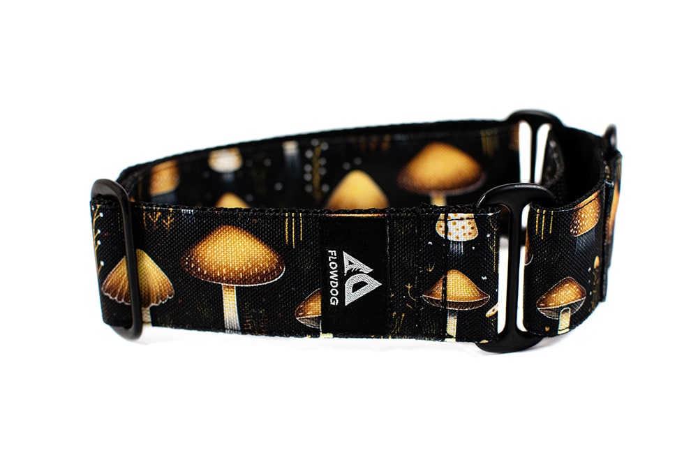 Mushroom - Plus Martingale Collar