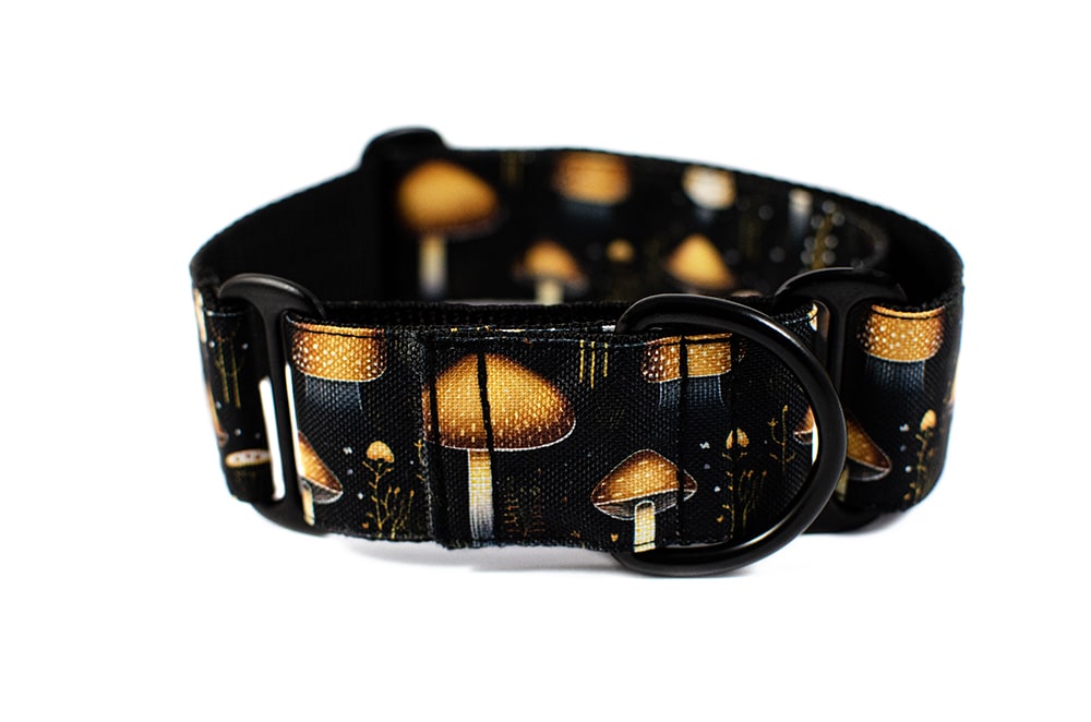 Mushroom - Plus Martingale Collar