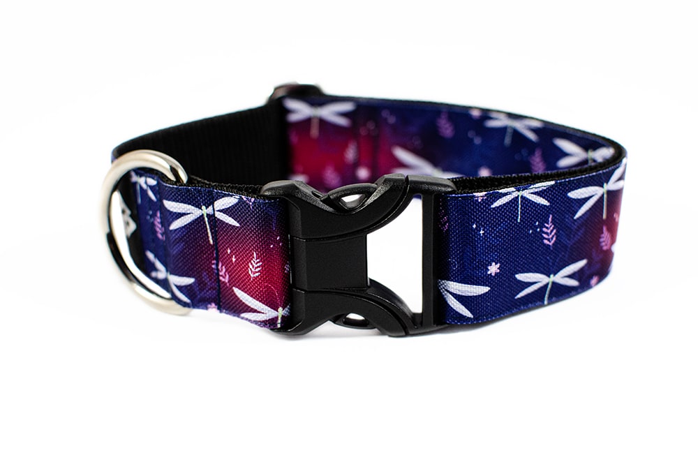 Dragonfly - Plus Buckle Collar