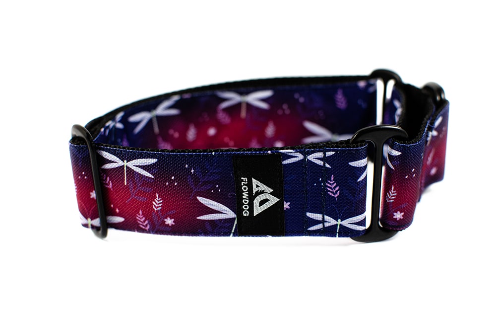 Dragonfly - Plus Martingale Collar