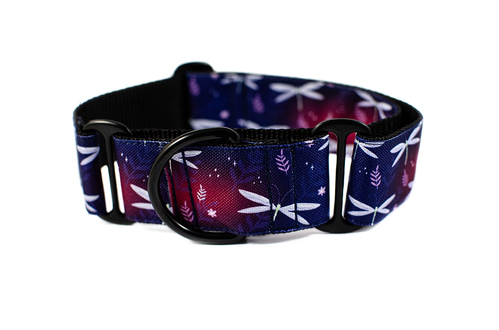 Dragonfly - Plus Martingale Collar