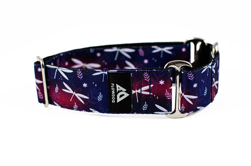 Dragonfly - Plus Martingale Collar