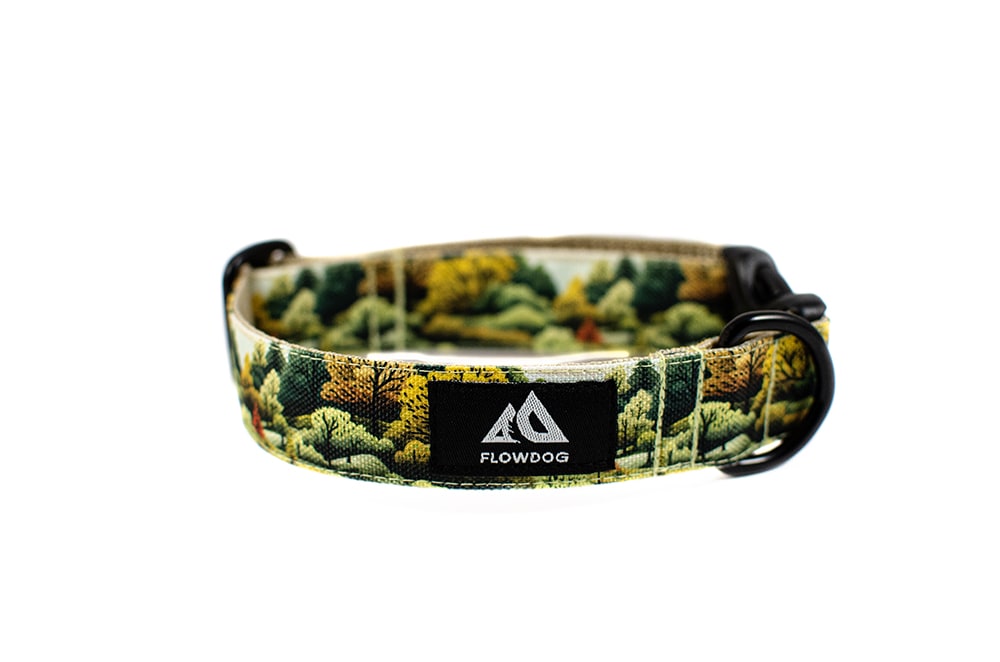 Foliage - Plus Buckle Collar