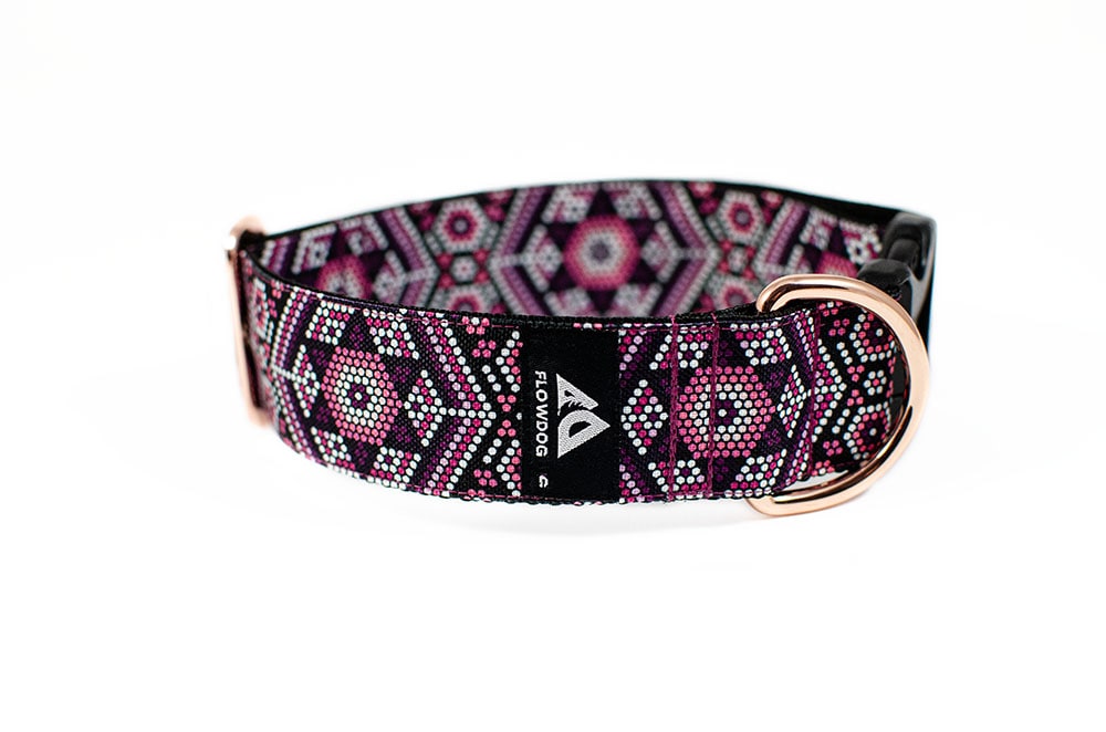 Pago - Plus Buckle Collar