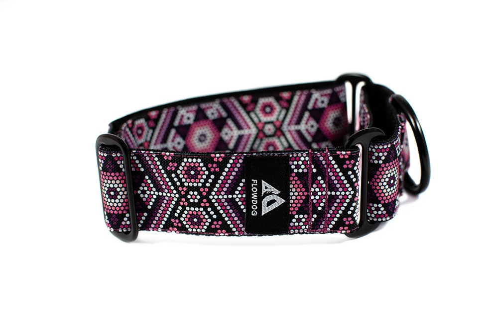 Pago - Plus Martingale Collar