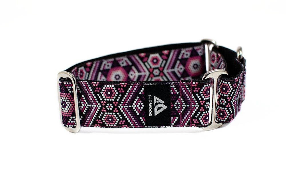 Pago - Plus Martingale Collar