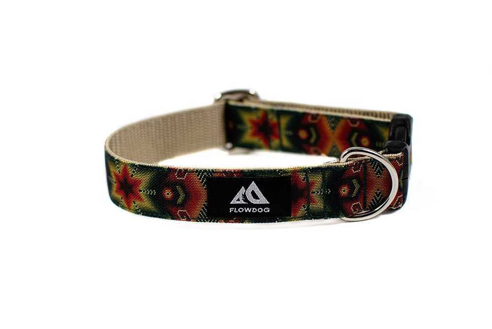 Agung - Plus Buckle Collar