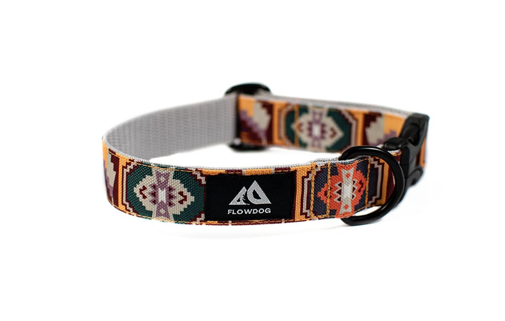 Loki - Plus Buckle Collar