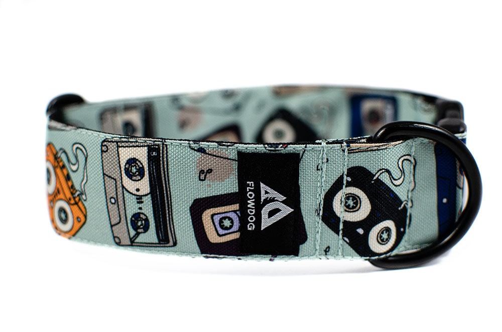 Cassette - Plus Buckle Collar