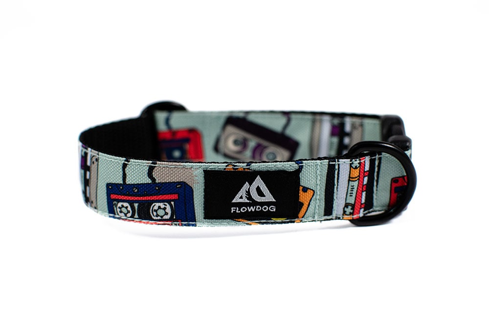 Cassette - Plus Buckle Collar