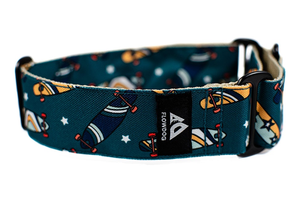 Skateboard - Plus Martingale Collar for Whippets and Greyhounds