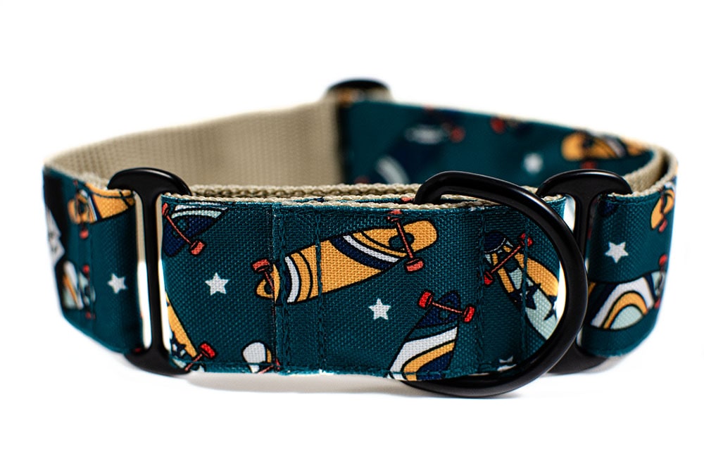 Skateboard - Plus Martingale Collar for Whippets and Greyhounds