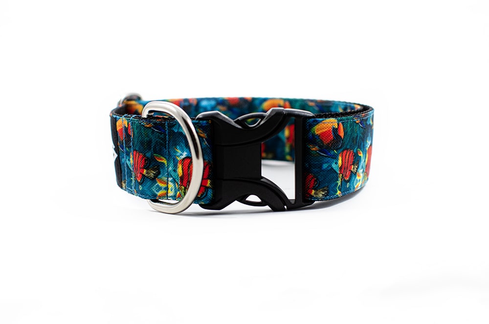 Coral reef - Plus Buckle Collar